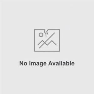 DeWalt 2000W 254mm Portable Table Saw